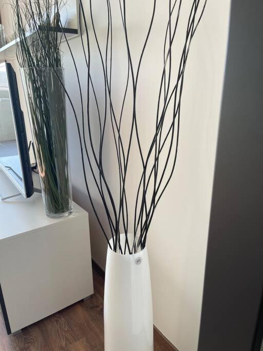 Apartment Y&y Bratislava